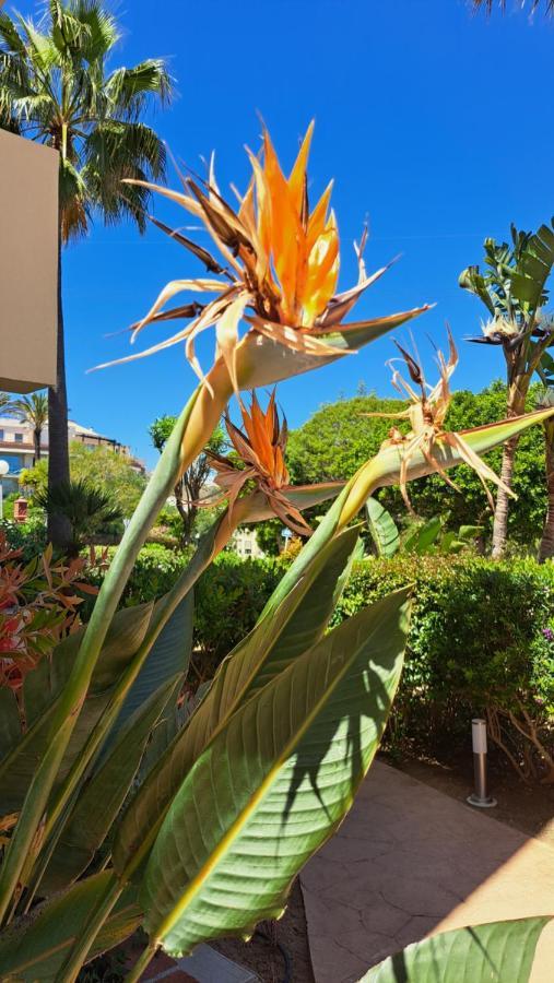 Apartment Sunny Golf View Miraflores Sitio de Calahonda